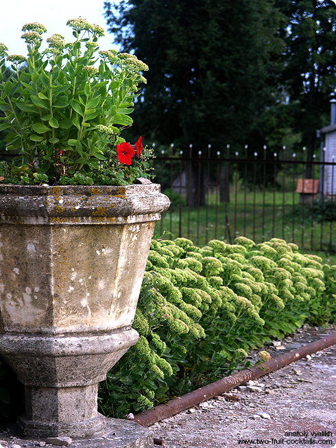 Демене (Латвия)