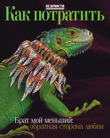 Получила звание-обложка года в 2005 году