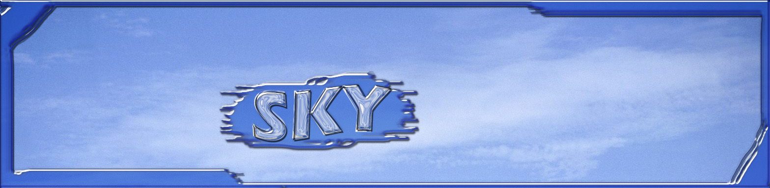 Лого SKY