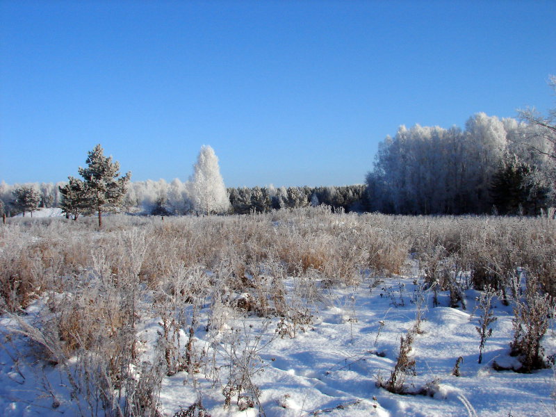 Зимнее утро