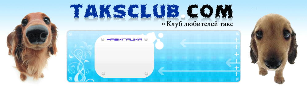Header - Логотип для TaksClub.Com