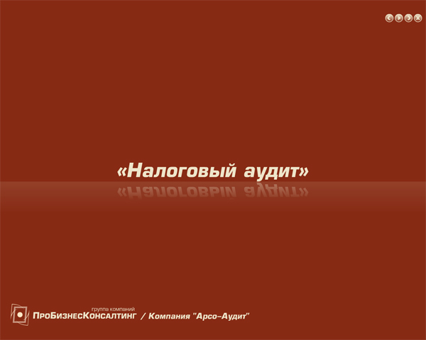 Презентация нового продукта компании «Арсо-Аудит»