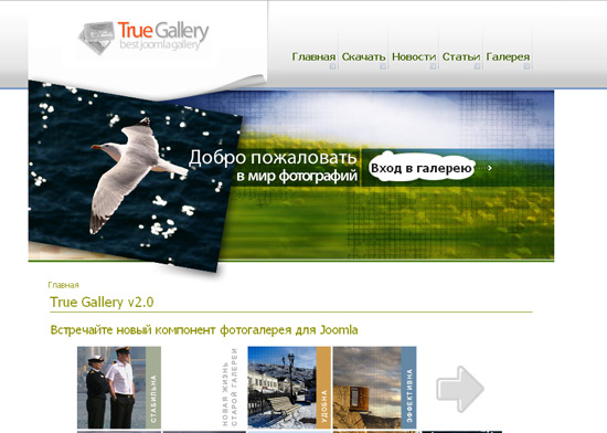 Сайт True Gallery