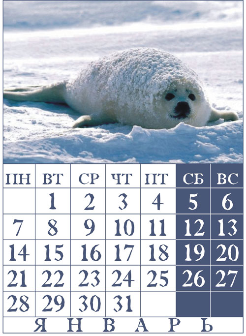 Календарь с северной тематикой