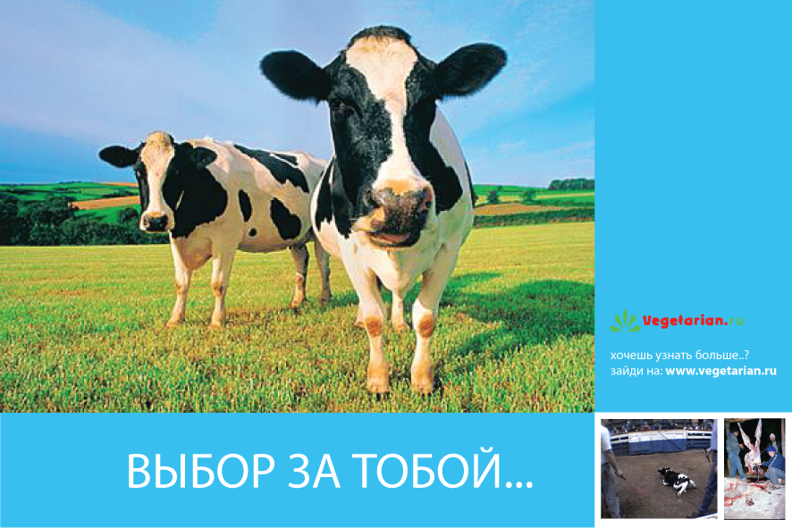 Открытки - Vegetarian.Ru