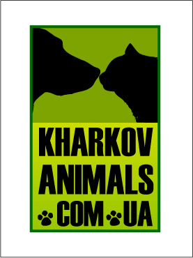 логотип для сайта помощи животным