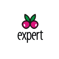 Expert