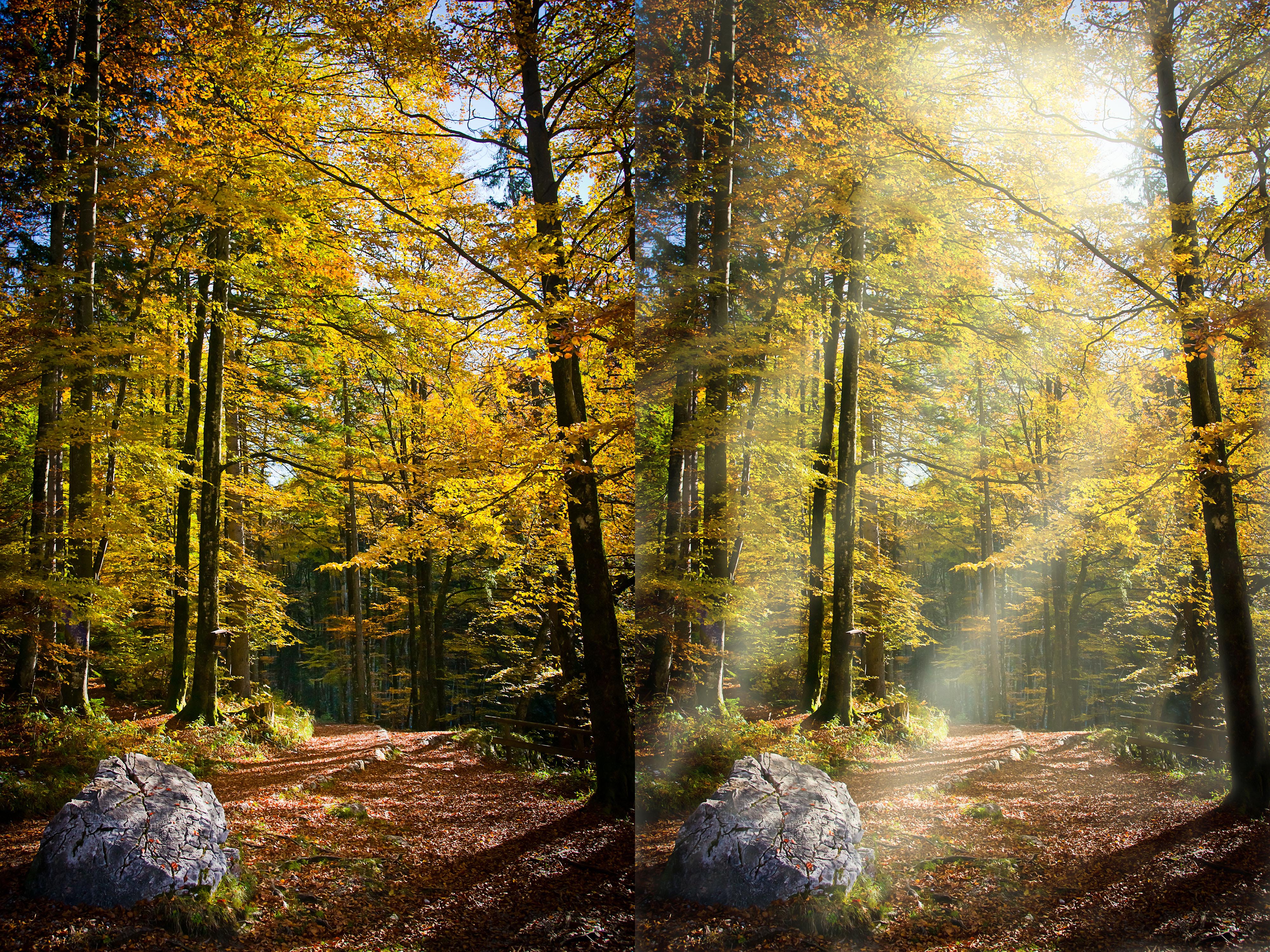 Солнечные лучи