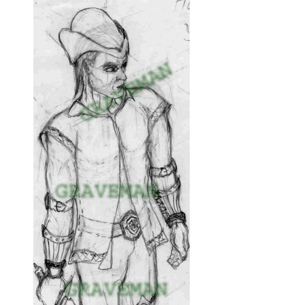 концепт эльфа1