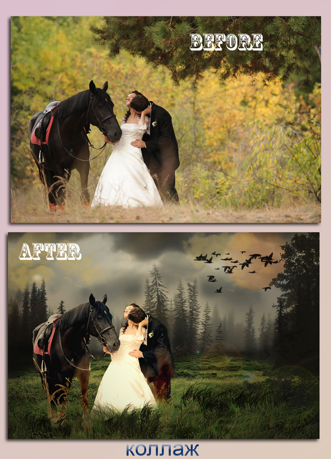 Серия-Невесты