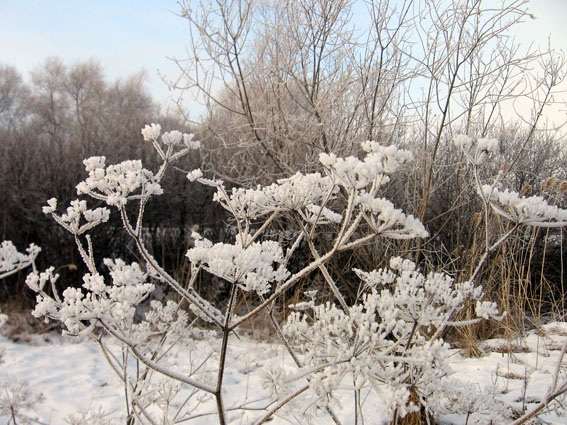 Прогулки по  городу...