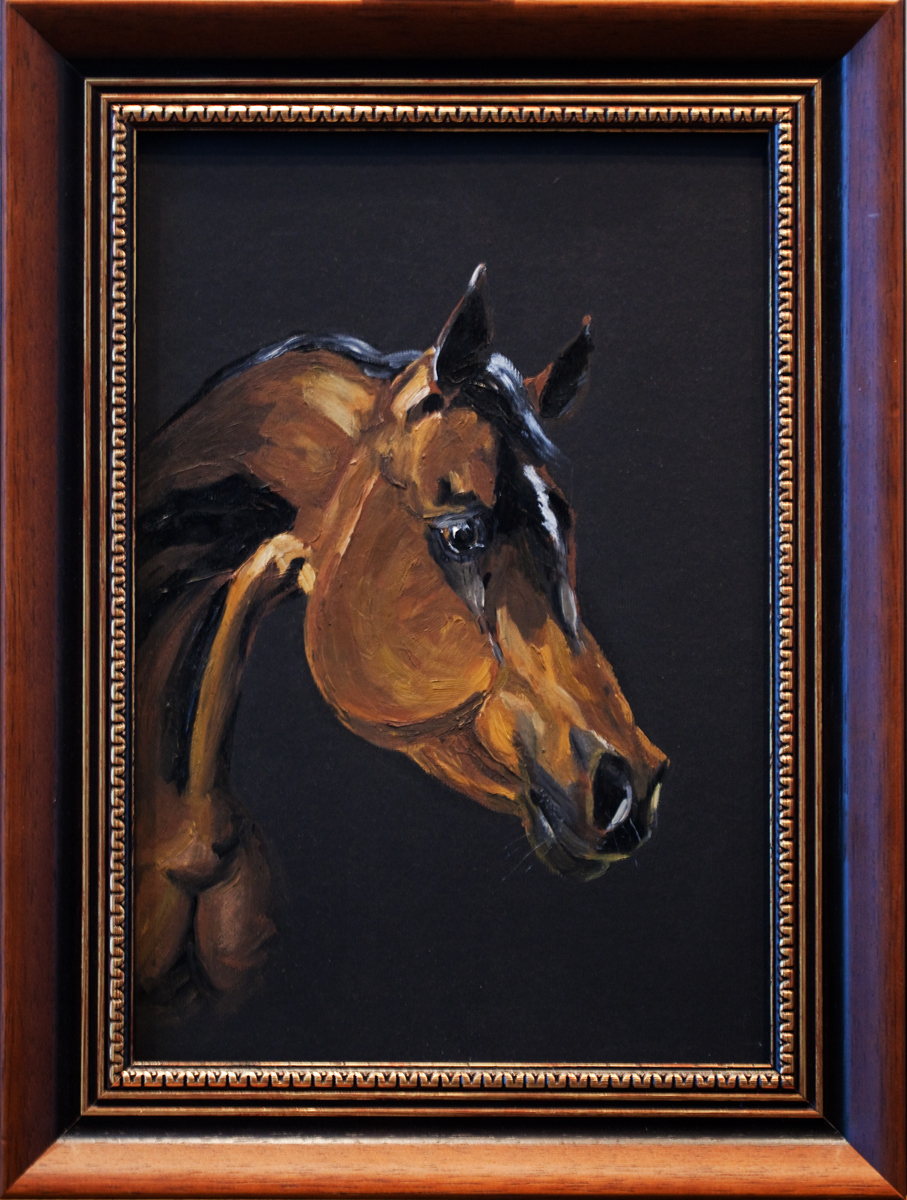 Портрет арабской лошади