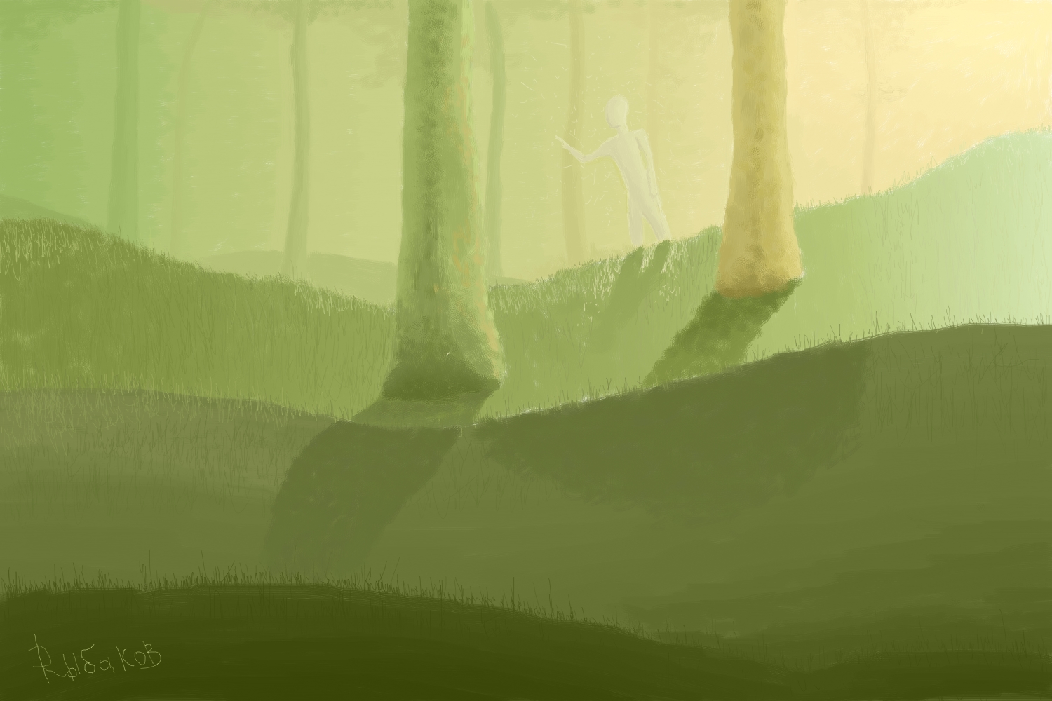 The forest