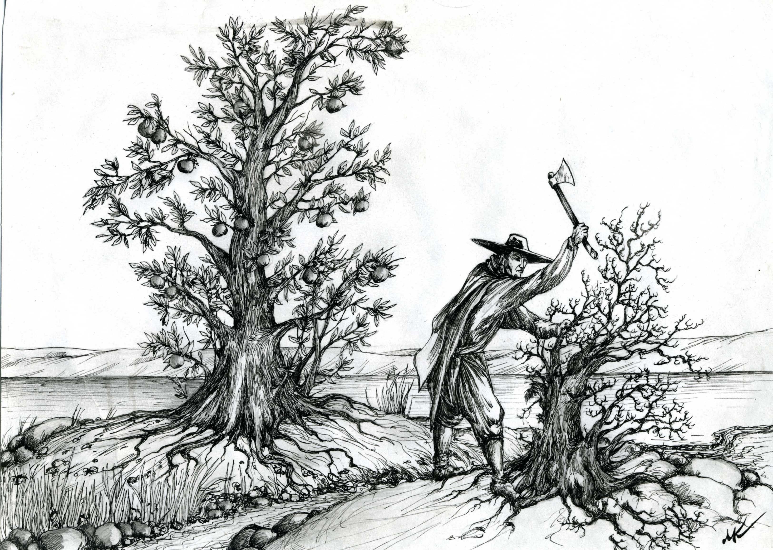 Басня дерево Крылов