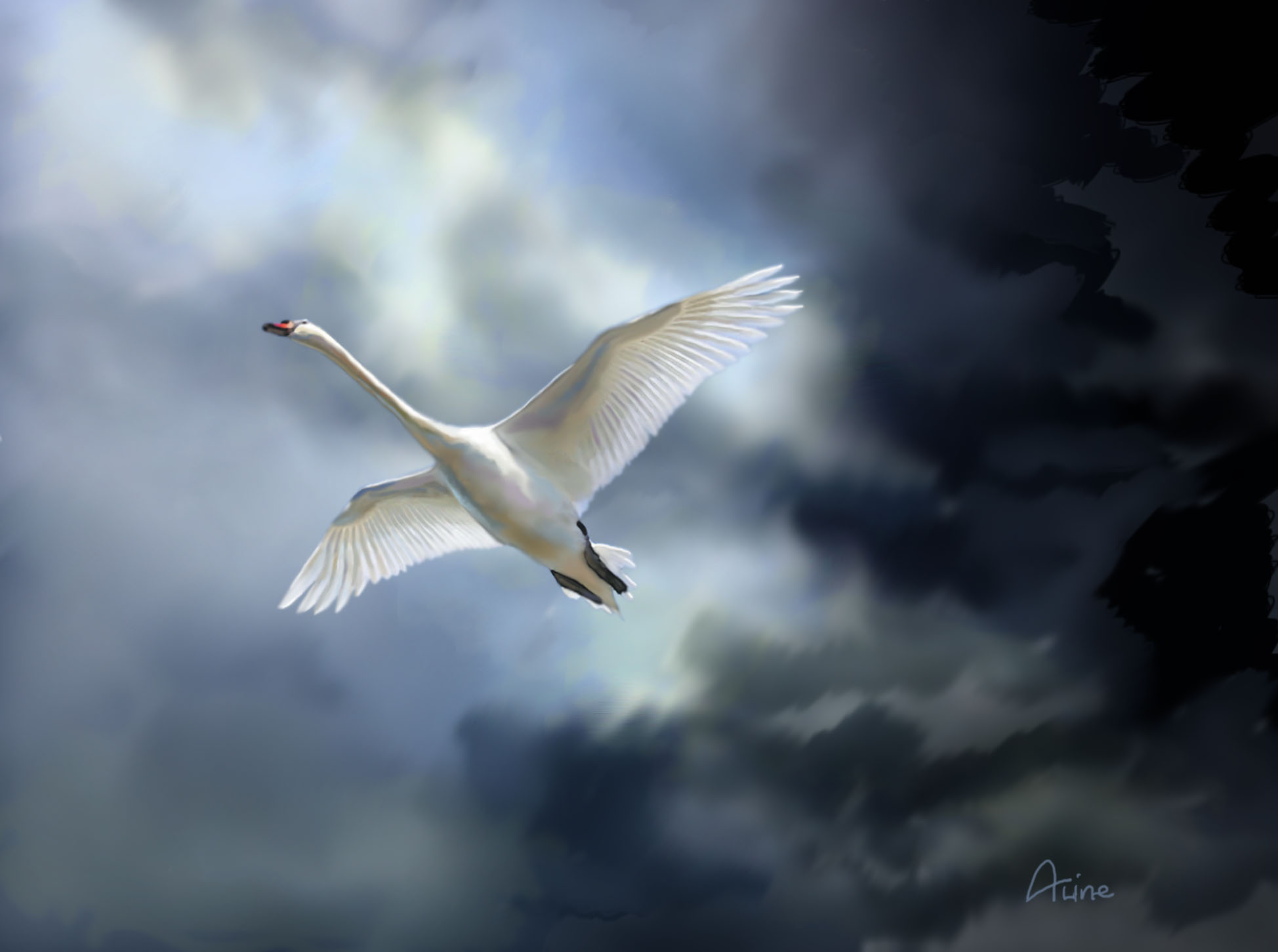 Сквозь шторм