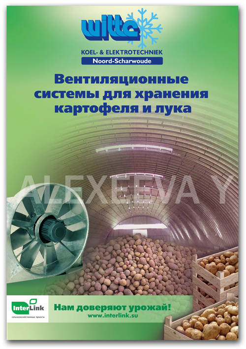 Дизайн серии плакатов по заказу компании "Interlink".