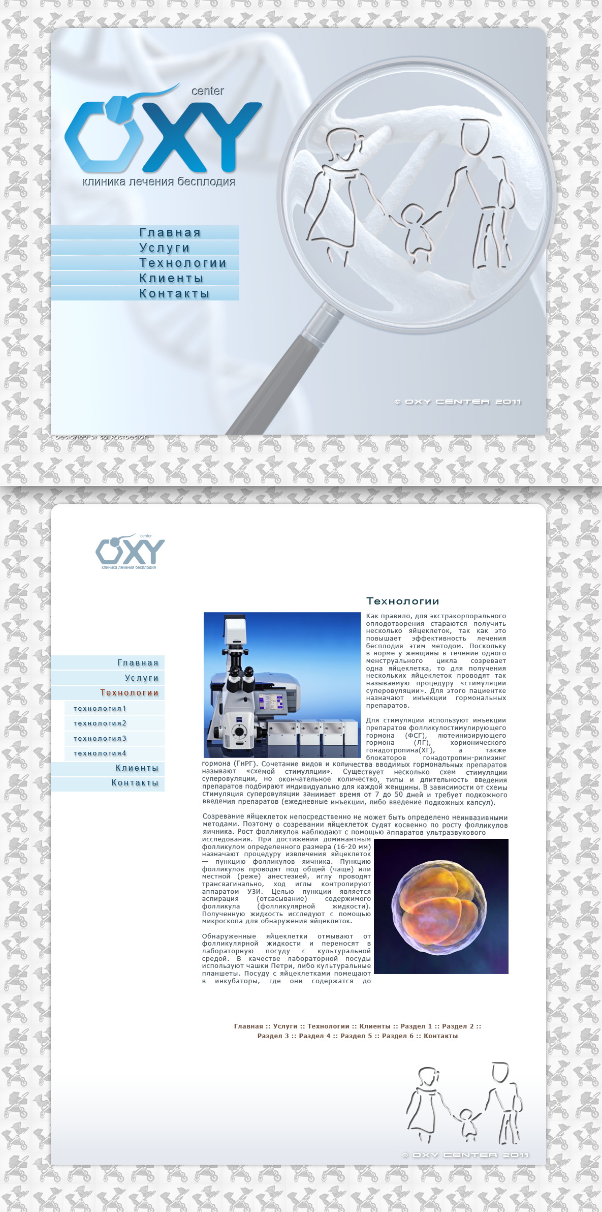 Sample design of site for "OXY center" company 