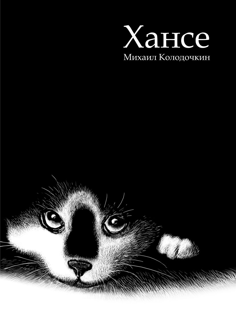 Книжная обложка