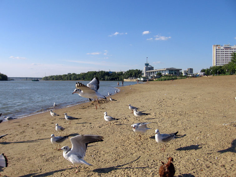 Прогулки по  городу...