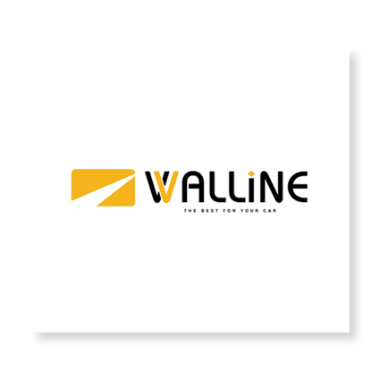 Логотип для компании - VValline