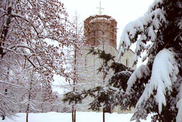 Влпдимир. Дмитриевский собор.