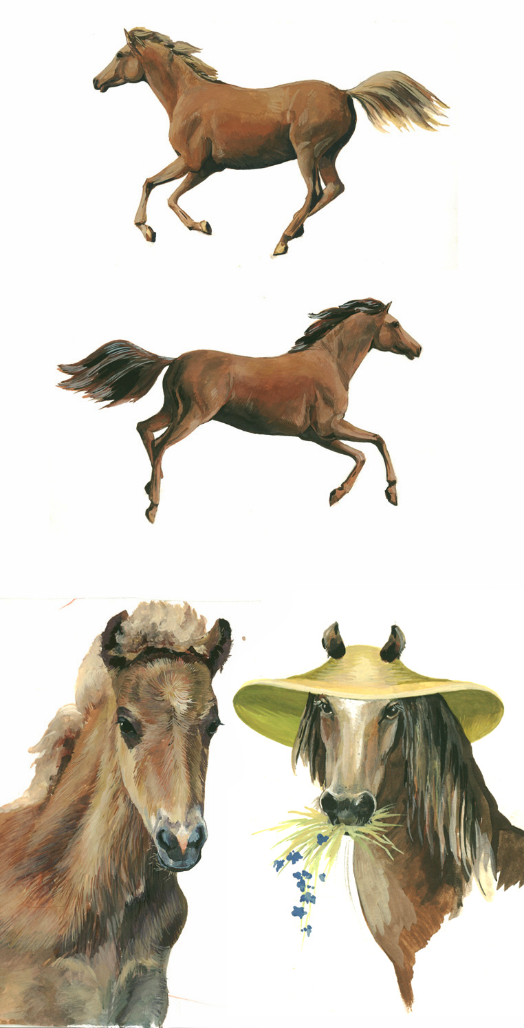 для рекламы кормов