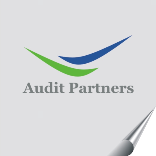 Audit Partners