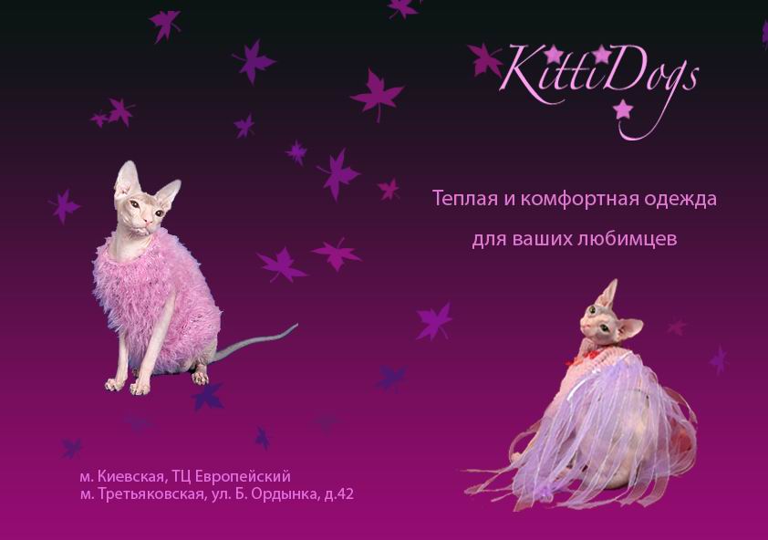 Реклама одежды для кошек и собак