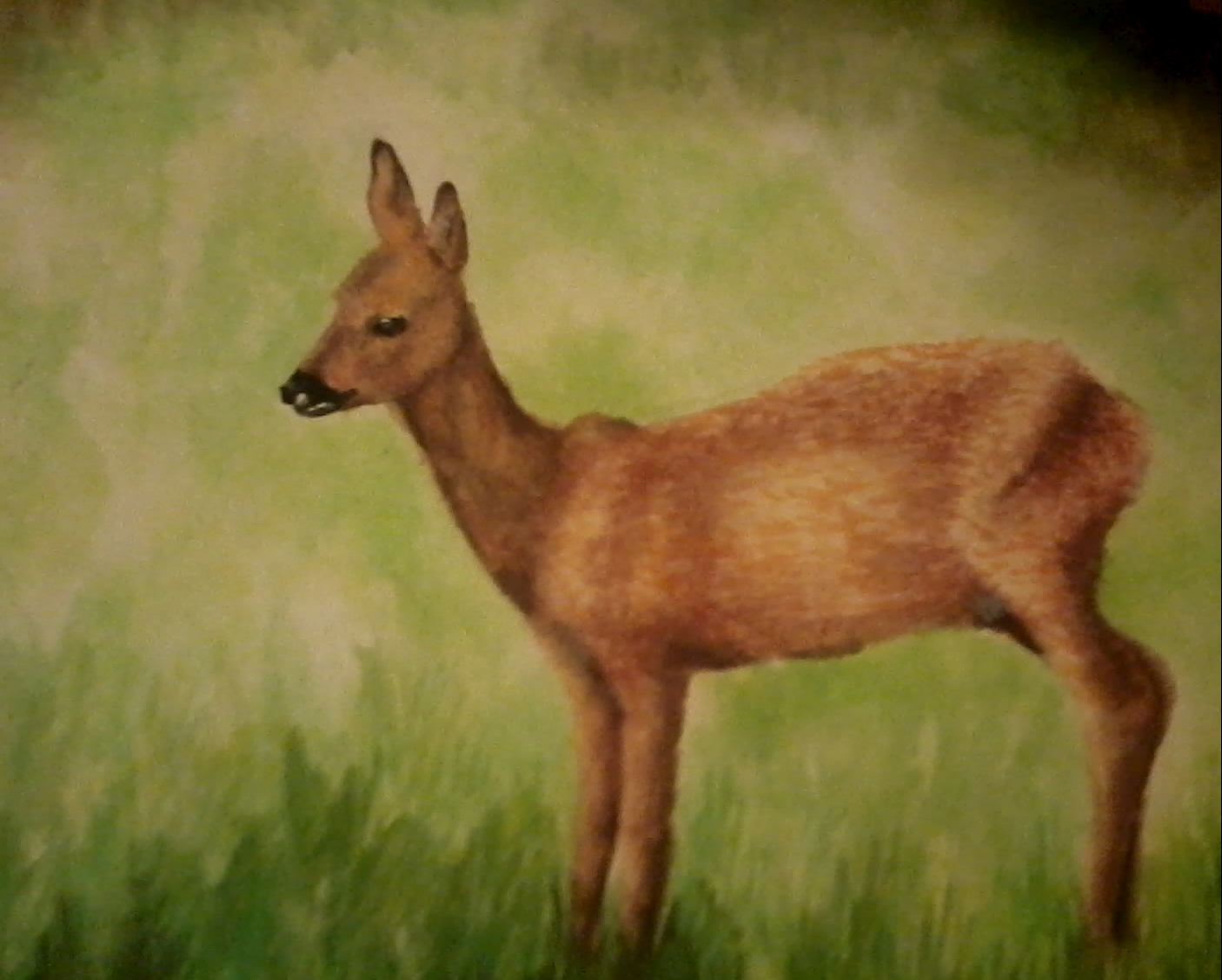 олененок, иллюстрация, акварель