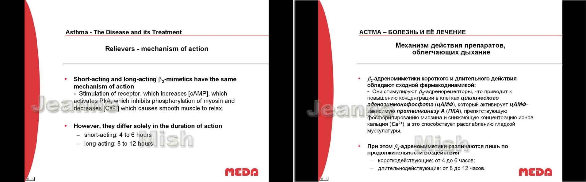 En-Ru_Медицина (Фармакология) Астма (англ. - рус.)