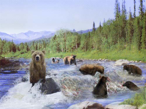медведи на рыбалке