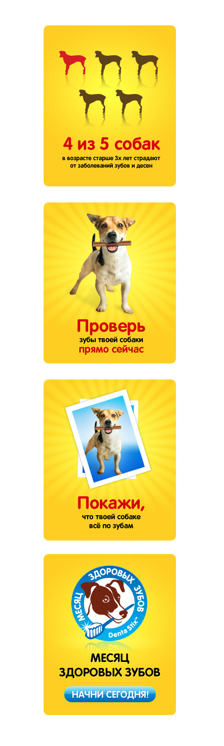 макет баннера для pedigree.ru