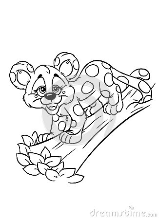 Леопард - раскраска