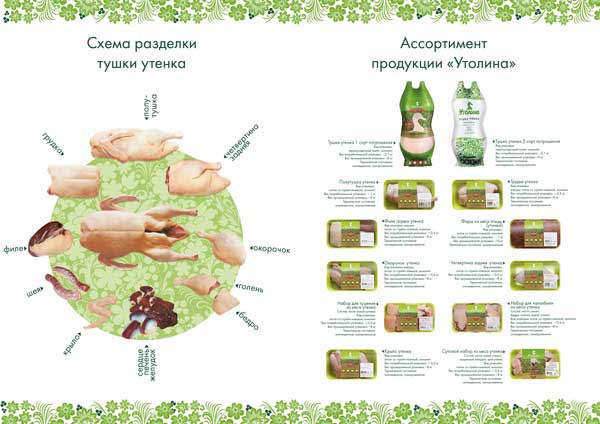 Разворот буклета для Утолины