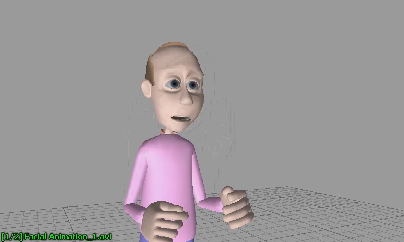 Facial Animation