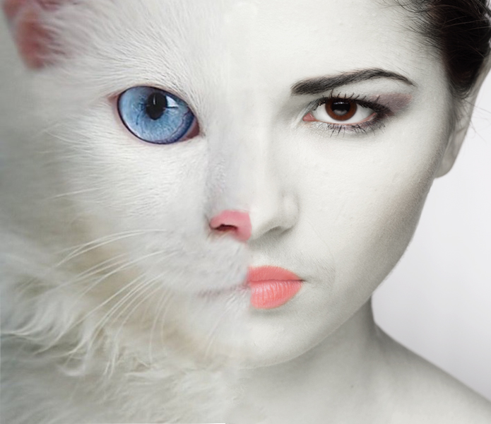 Коллаж-монтаж