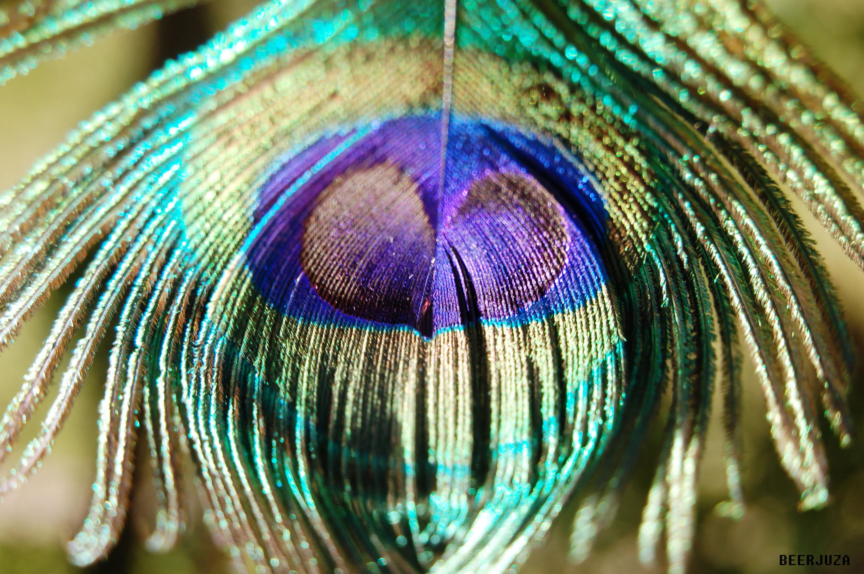 одна из немногих