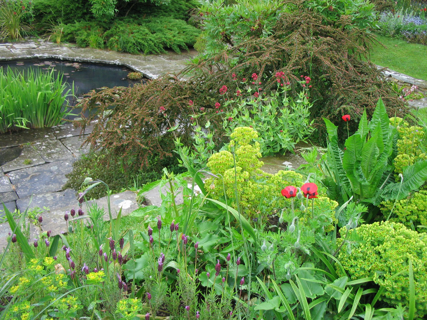 Часть ладшафта с прудом