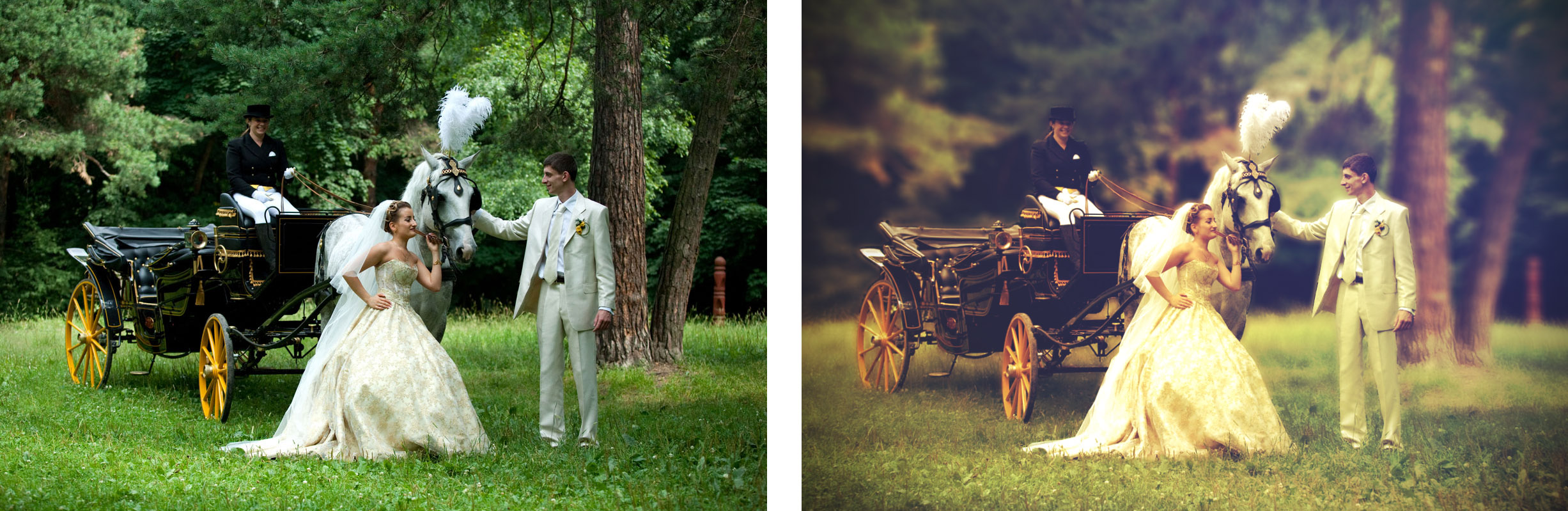 свадебная фотография