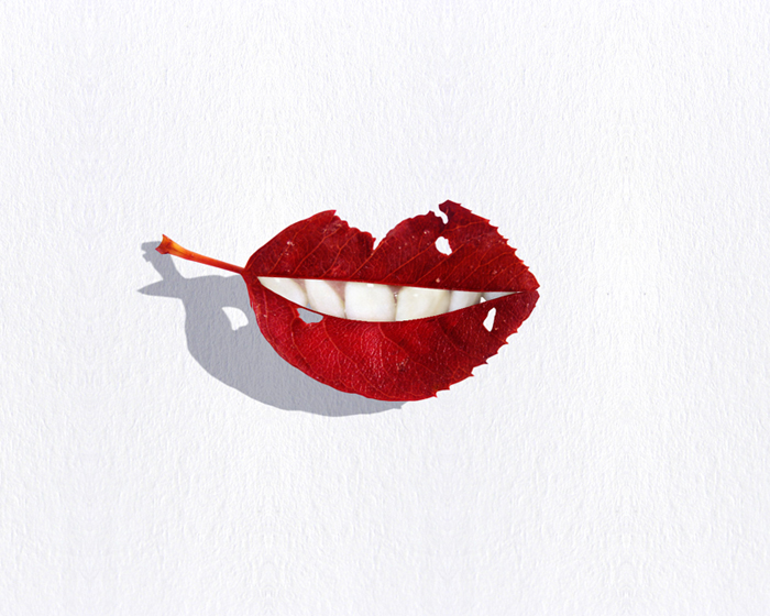 обои на рабочий стол