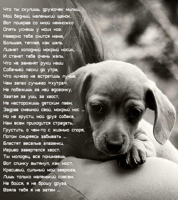 Моему другу...