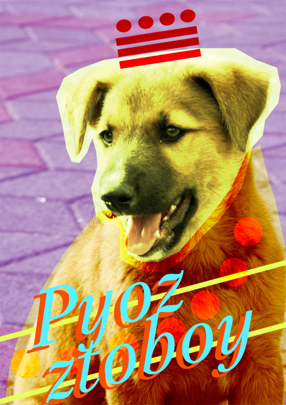 Pyoz ztoboy