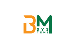 BM Systems (IT company)