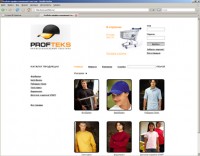 Уменьшенная копия