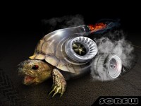 Уменьшенная копия