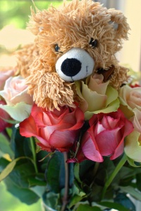 Уменьшенная копия