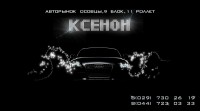 Уменьшенная копия