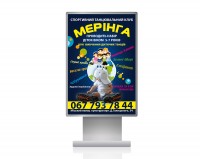 Уменьшенная копия